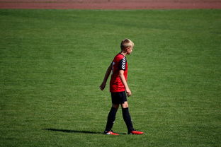 乐鱼体育登录-NBA球员训练方法创新，nba球员训练视频,篮球技术