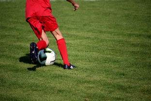 乐鱼体育登录-NBA球员训练方法创新,nba球员训练视频,篮球技术