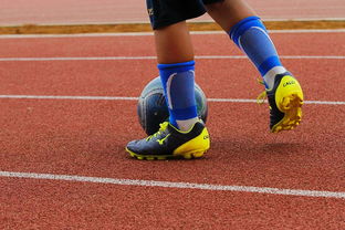 leyu乐鱼-足球产业链：从青训到转播的全产业生态，足球产业主要经营内容