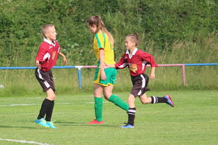 APP下载 LY Sports-运动员情绪波动监测系统投入实训平台,竞赛过程中运动员情绪体验条件有哪些