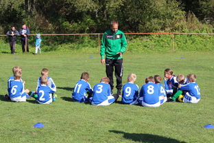 下载乐鱼体育APP-欧洲杯冠军悬念：战术配合与个人能力巅峰对决，欧洲杯冠军大热门