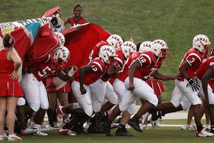 乐鱼体育平台app下载-CBA是否鼓励球队组织青少年篮球体验活动,cba青少年篮球训练营