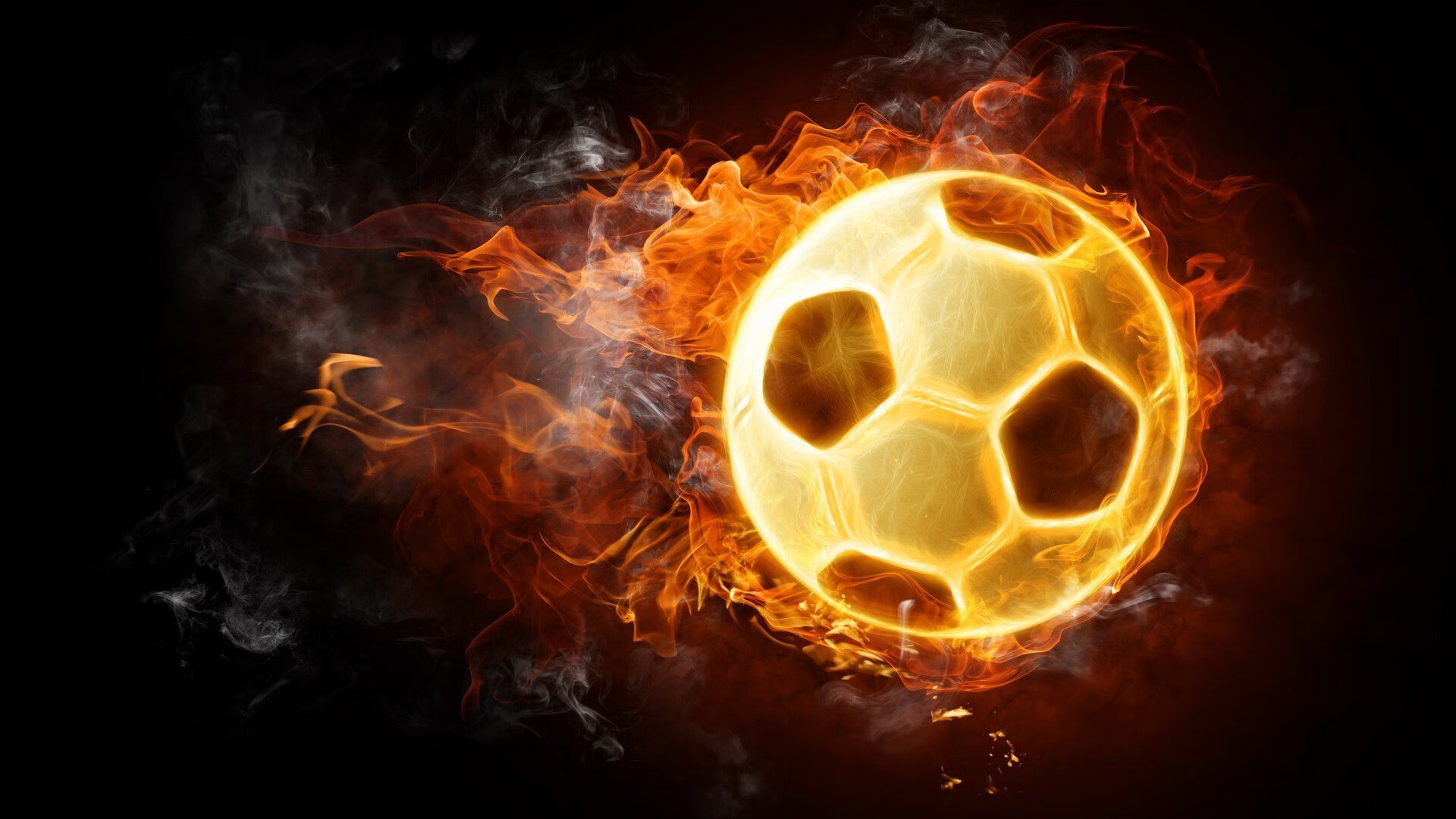 leyu乐鱼-打造体育职业发展资讯共享的新闻平台,体育行业新闻